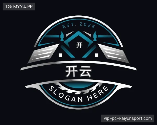 关于开云世界杯